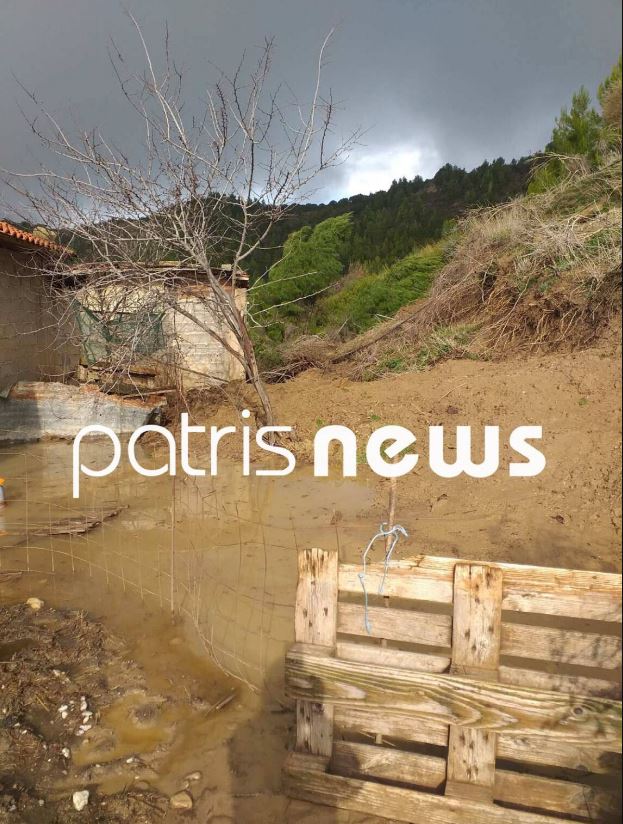 Σαρωτικό το πέρασμα της κακοκαιρίας από τον Πύργο - Νεκρά εκατοντάδες ζώα στο Γούμερο - ΦΩΤΟ