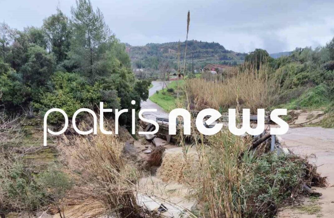 Σαρωτικό το πέρασμα της κακοκαιρίας από τον Πύργο - Νεκρά εκατοντάδες ζώα στο Γούμερο - ΦΩΤΟ