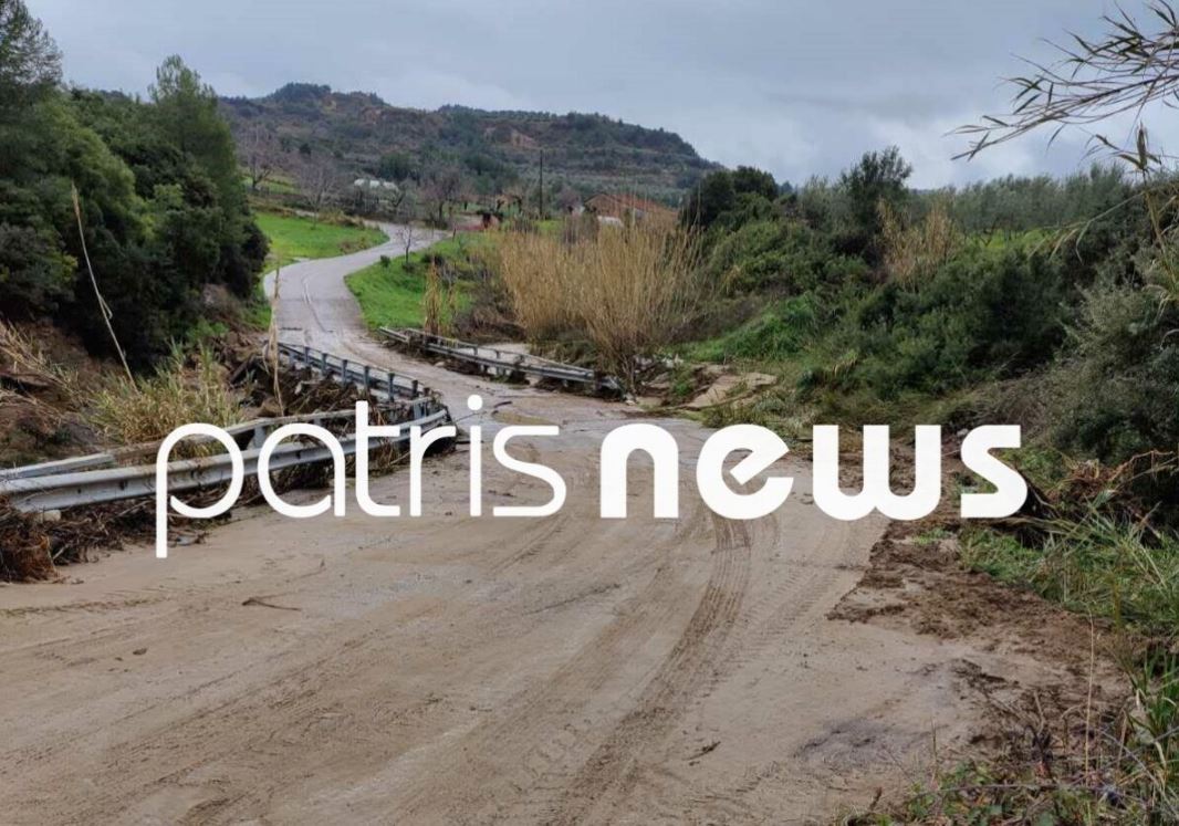 Σαρωτικό το πέρασμα της κακοκαιρίας από τον Πύργο - Νεκρά εκατοντάδες ζώα στο Γούμερο - ΦΩΤΟ