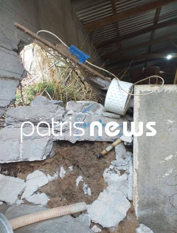 Σαρωτικό το πέρασμα της κακοκαιρίας από τον Πύργο - Νεκρά εκατοντάδες ζώα στο Γούμερο - ΦΩΤΟ