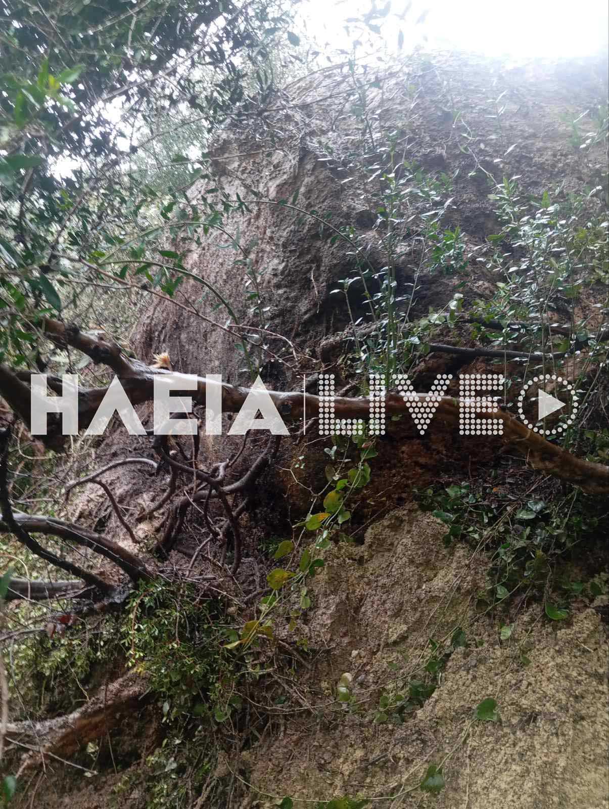 Ηλεία Κατάκολο