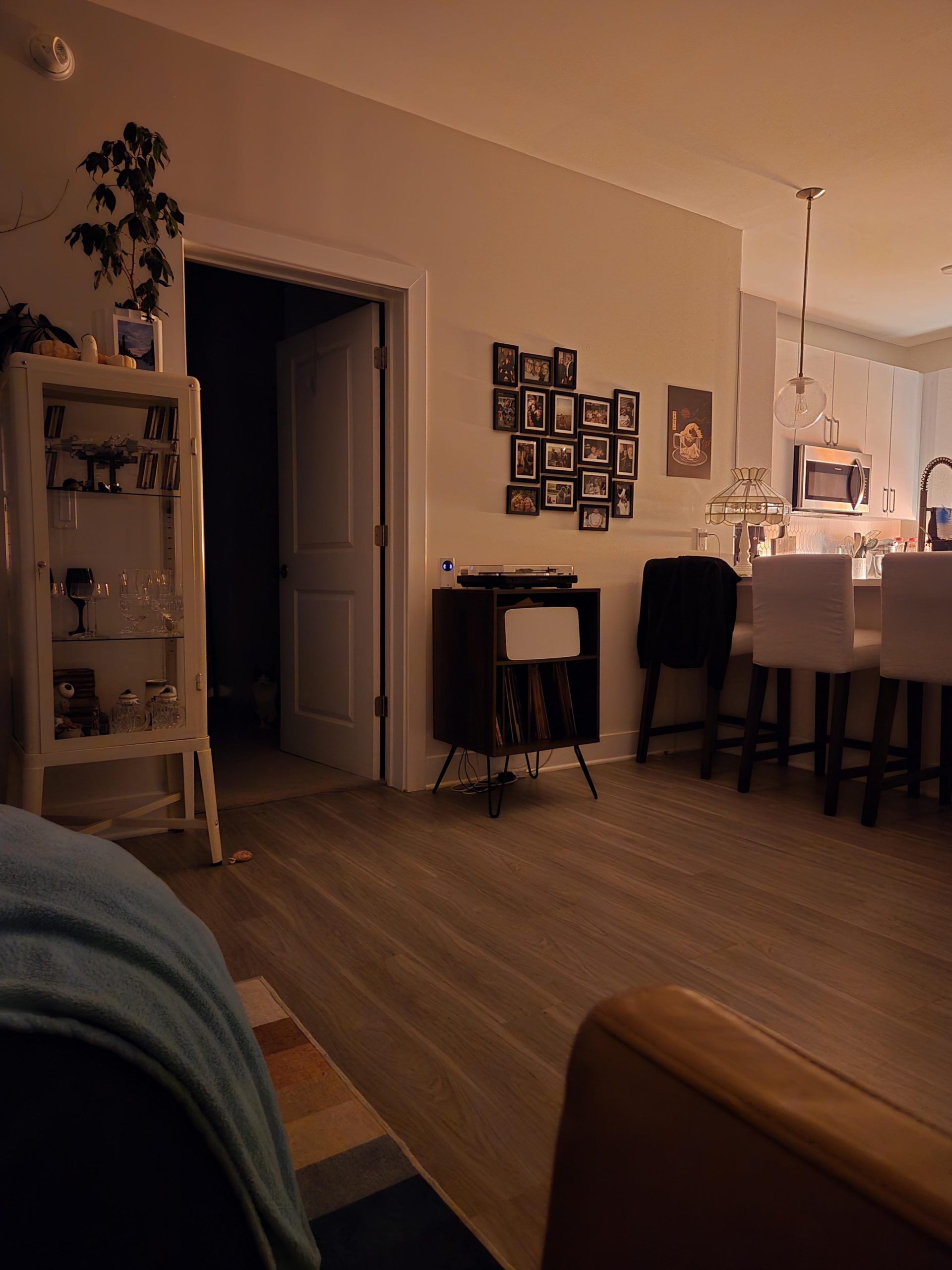 Οπτική Ψευδαίσθηση, γάτα