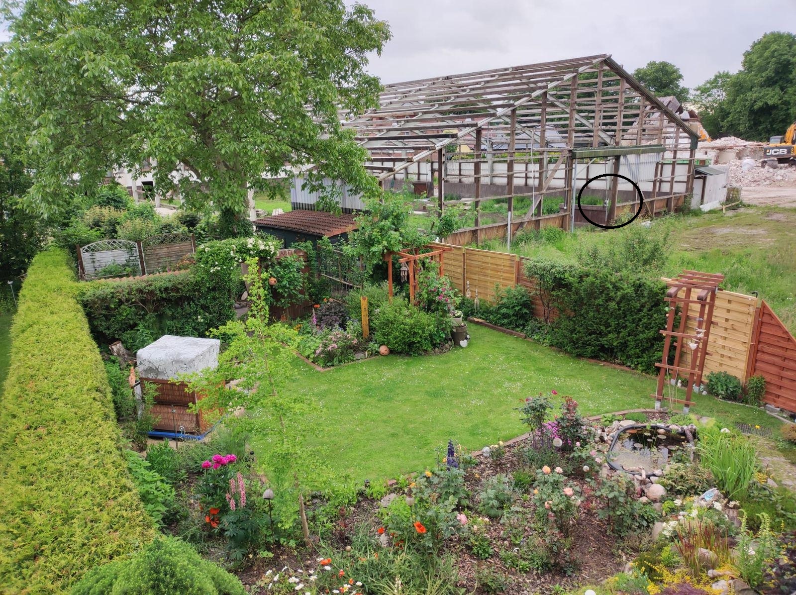 Οπτική ψευδαίσθηση, γάτα