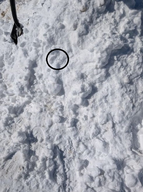 Οπτική ψευδαίσθηση, καπάκι