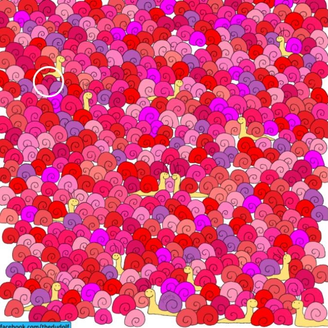 Οπτική ψευδαίσθηση, καρδιά