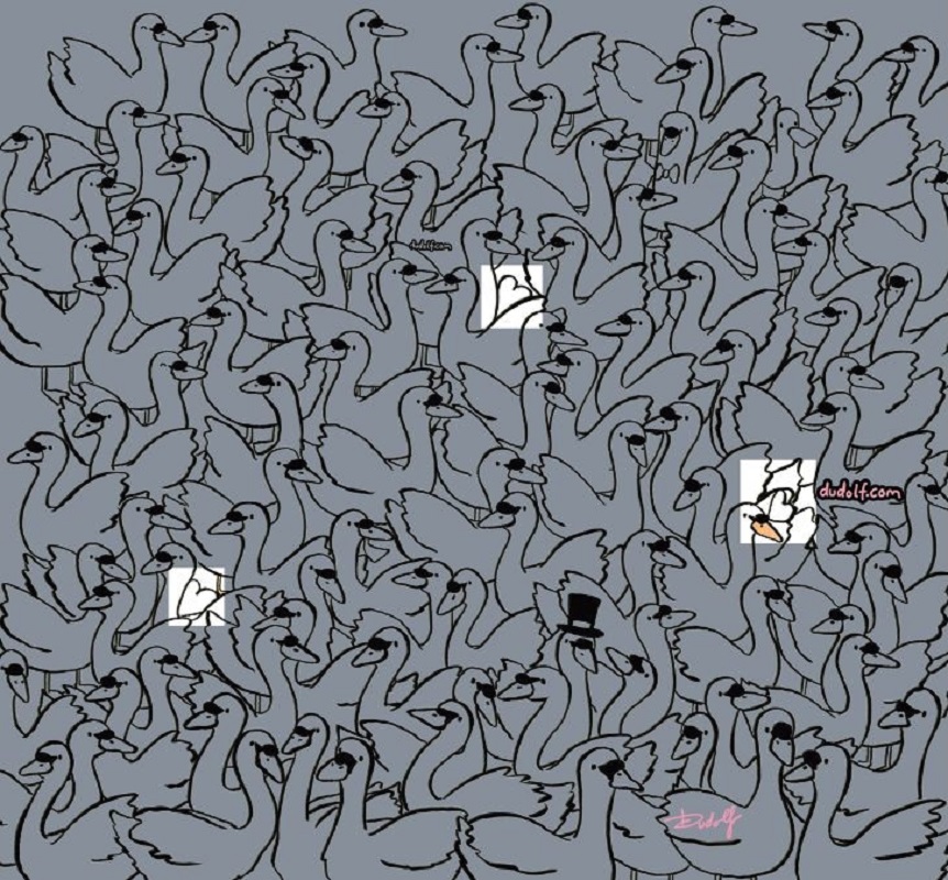 Οπτική ψευδαίσθηση, καρδιές 