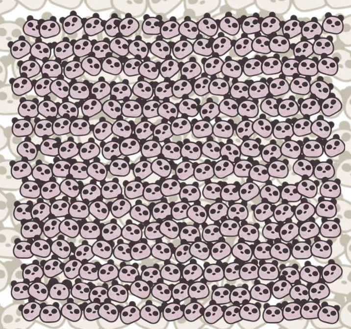 Οπτική ψευδαίσθηση, κοάλα