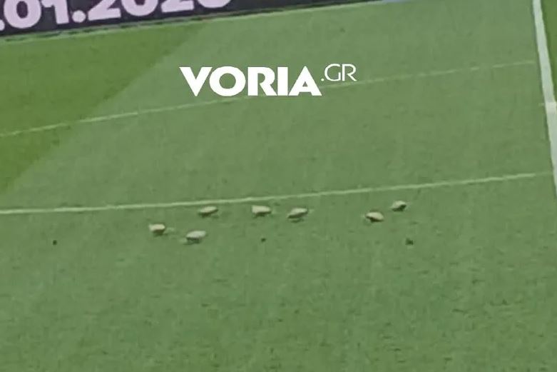 Επτά περιστέρια προσγειώθηκαν στην Τούμπα – Ένα απροσδόκητο περιστατικό λίγο πριν από το ΠΑΟΚ – Πανσερραϊκός