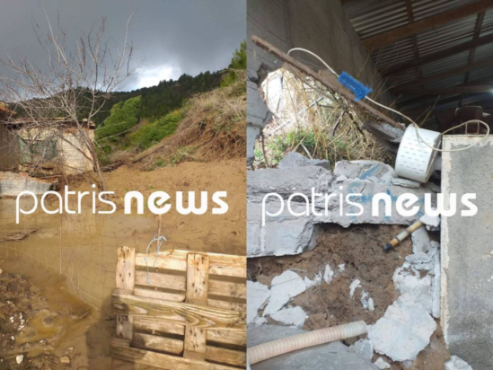 Σαρωτικό το πέρασμα της κακοκαιρίας από τον Πύργο - Νεκρά εκατοντάδες ζώα στο Γούμερο - ΦΩΤΟ