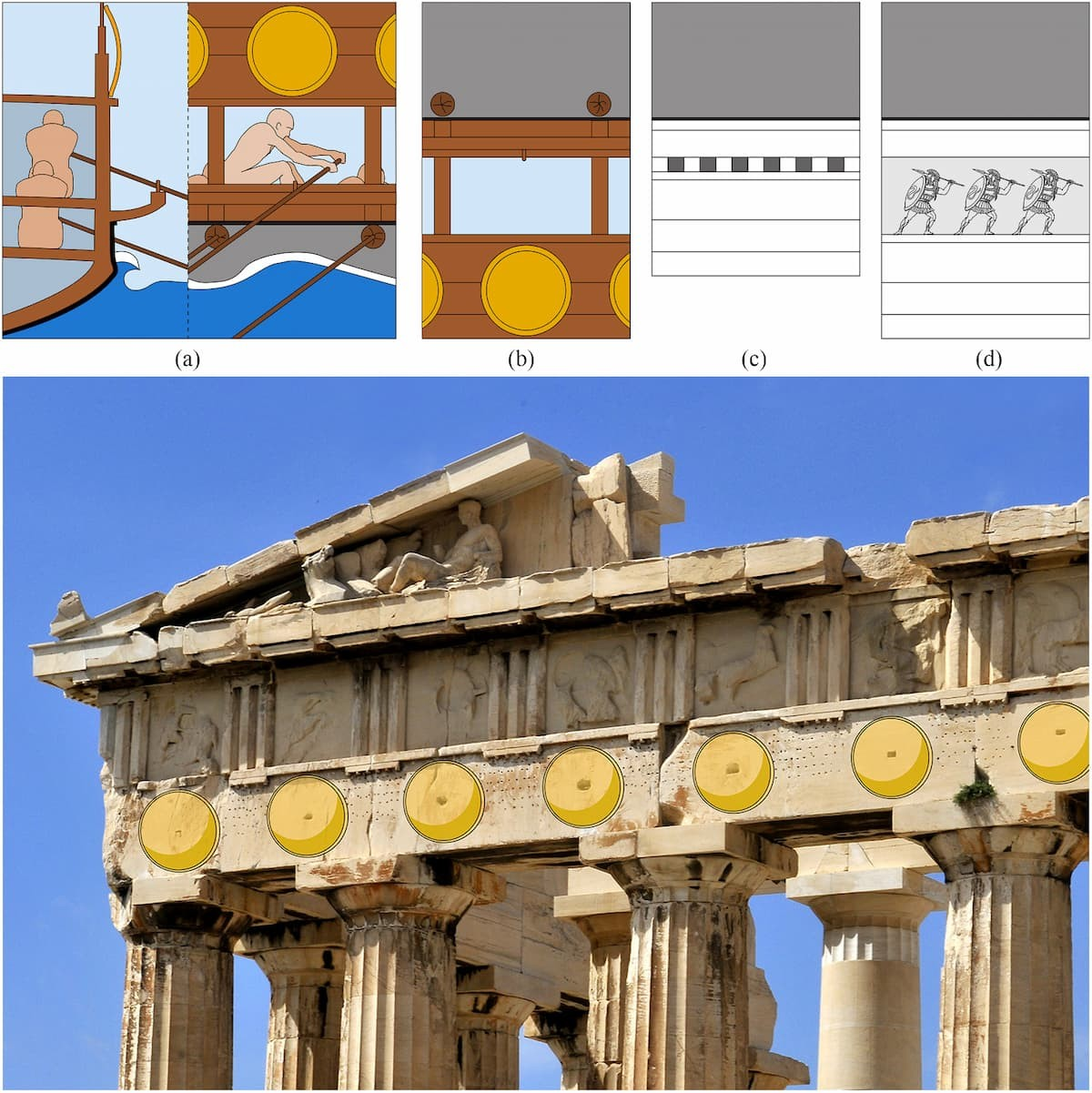 Υποθετικά έξαλα μιας πεντηκοντόρου και δύο τρόποι αναπαράστασής τους στον ιωνικό θριγκό, καθώς και χρυσές κυκλικές ασπίδες σχεδιασμένες στην αρχική τους θέση πάνω στο επιστύλιο του Παρθενώνα, με διαφάνεια ώστε να φαίνονται οι οπές στερέωσης. Πηγή: José M. Ciordia 2026 / Luis Bartolomé Marcos