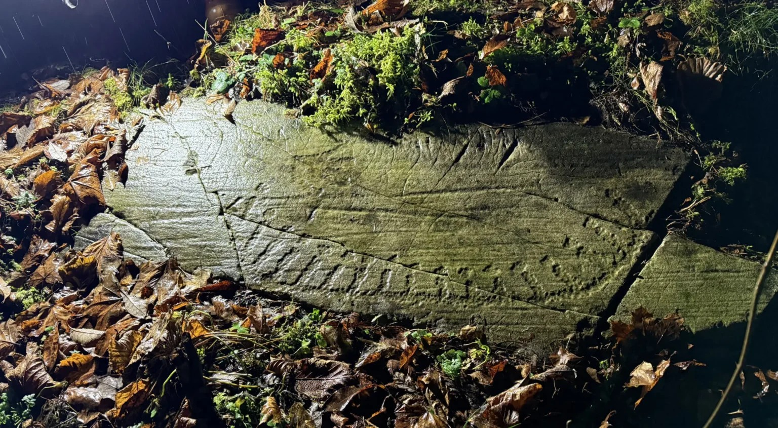 Βραχογραφία πλοίου της Εποχής του Χαλκού, ηλικίας περίπου 3.000 ετών, που απεικονίζει μορφές οι οποίες ενδέχεται να αναπαριστούν ανθρώπους ή πολεμιστές που φορούν κράνη. (Φωτογραφία: Ιδιωτική συλλογή) 