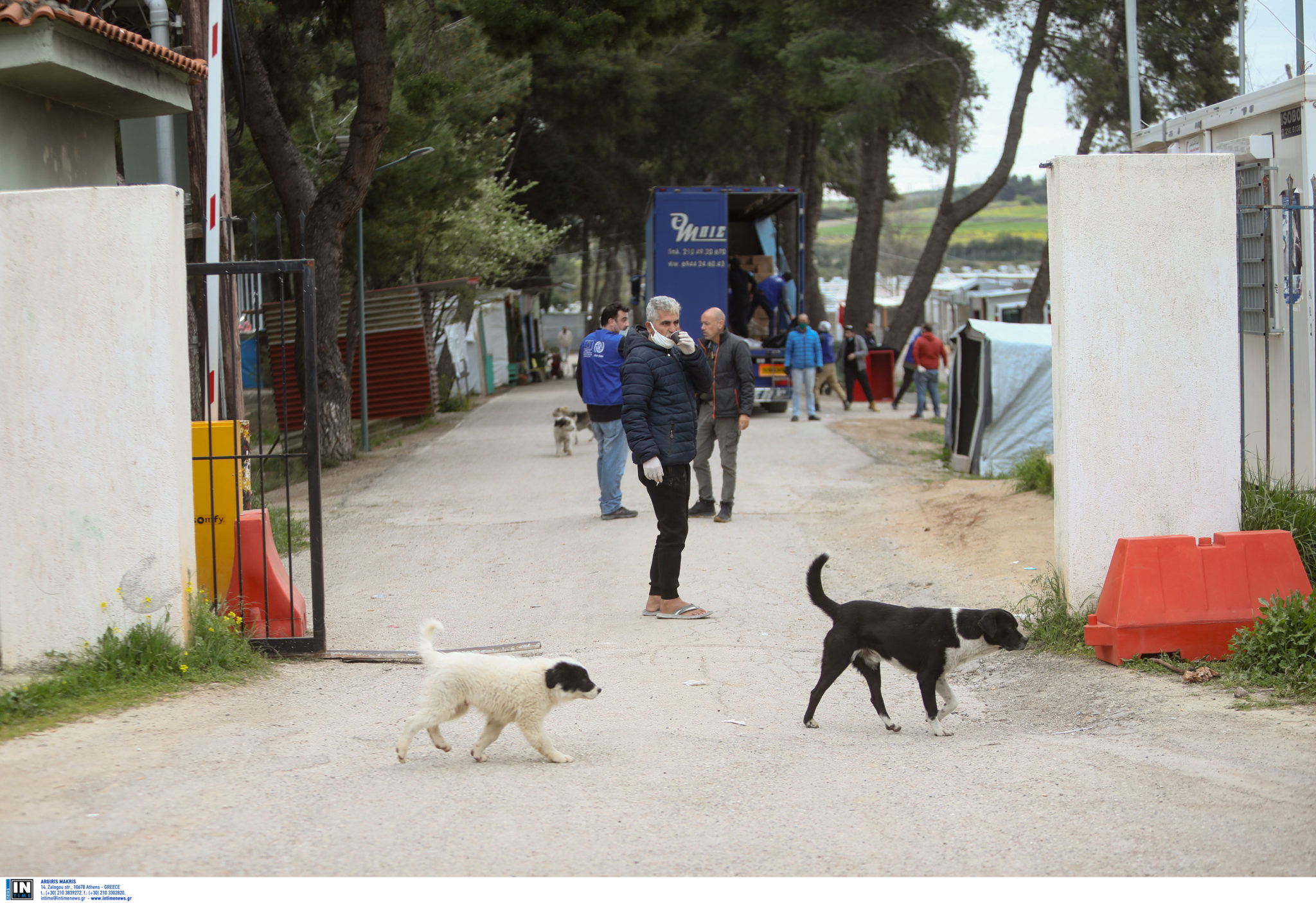 δομή Ριτσώνα