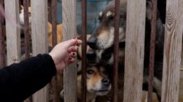 Tetiana DZHAFAROVA / AFP