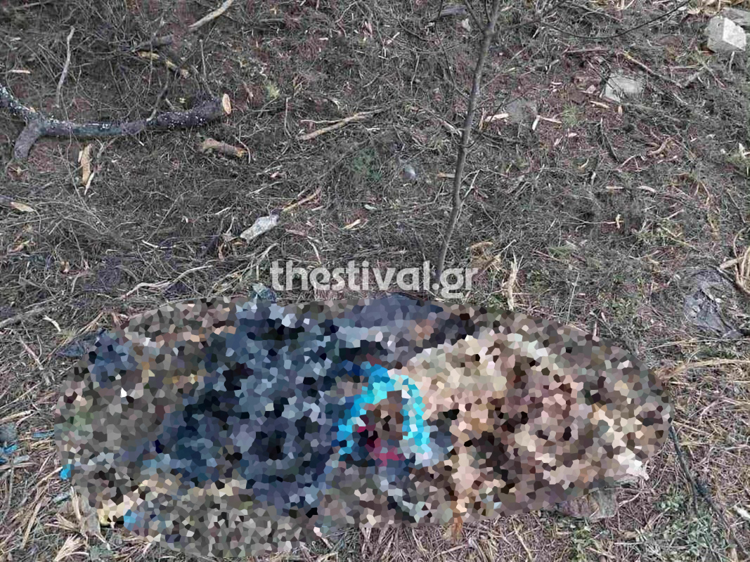 Χαλκιδική, πτώμα, σορός