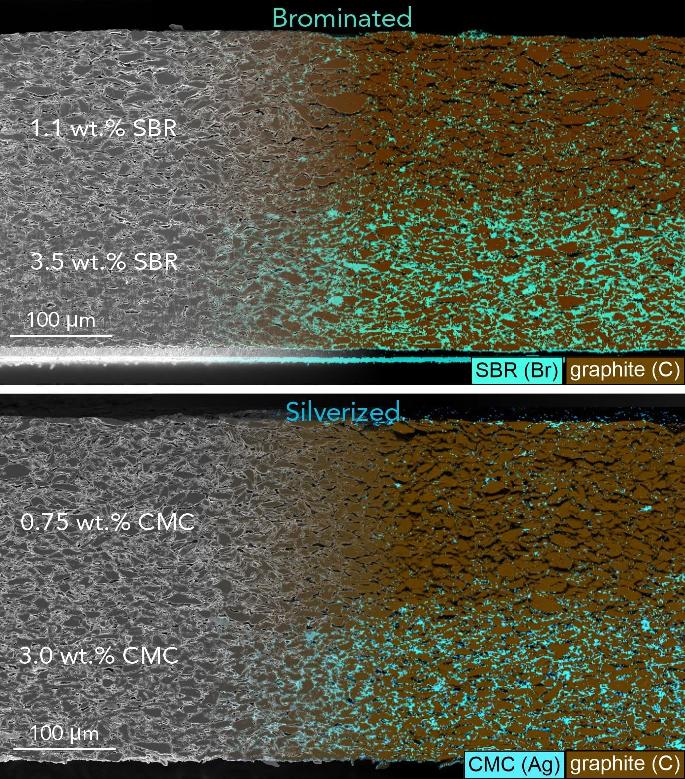 Ανίχνευση διαφορετικής περιεκτικότητας συνδετικού υλικού σε ηλεκτρόδια διπλής στρώσης (bi-layered) με τη χρήση χρώσης και φασματοσκοπίας ακτίνων Χ ενεργειακής διασποράς (EDX).Οι εικόνες δείχνουν εγκάρσιες τομές ενός ηλεκτροδίου διπλής στρώσης, το οποίο κατασκευάστηκε εναποθέτοντας πρώτα έναν πολτό (slurry) πλούσιο σε συνδετικό υλικό (κάτω στρώμα ηλεκτροδίου) και στη συνέχεια έναν πολτό φτωχό σε συνδετικό υλικό (πάνω στρώμα ηλεκτροδίου) – το κάτω στρώμα είχε τετραπλάσια (4×) ποσότητα καρβοξυμεθυλοκυτταρίνης (CMC) και καουτσούκ στυρενίου-βουταδιενίου (SBR) σε σύγκριση με το πάνω στρώμα. Τα συνδετικά υλικά είναι αόρατα στη συμβατική ηλεκτρονική μικροσκοπία (αριστερή πλευρά των εικόνων), αλλά γίνονται ορατά στη χαρτογράφηση EDX μετά από χρώση με βρώμιο (Br) και άργυρο (Ag) (δεξιά πλευρά των εικόνων). Οι χάρτες EDX του βρωμίου και του αργύρου αντανακλούν τις διαφορές στην περιεκτικότητα του συνδετικού υλικού μεταξύ του κάτω και του πάνω στρώματος του ηλεκτροδίου με ακρίβεια 80-97,5%. Πηγή: Stanislaw Zankowski Μικρές Κατασκευαστικές Αλλαγές Μειώνουν την Αντίσταση κατά 40% Χρησιμοποιώντας αυτή την τεχνική απεικόνισης, οι ερευνητές ανακάλυψαν ότι ακόμη και μικρές διαφορές στην κατανομή του συνδετικού υλικού μπορούν να επηρεάσουν σημαντικά την ταχύτητα φόρτισης και τη διάρκεια ζωής της μπαταρίας. Βελτιώνοντας τα στάδια ανάμειξης του πολτού (slurry) και ξήρανσης κατά την παραγωγή των ηλεκτροδίων, κατάφεραν να μειώσουν την εσωτερική ιοντική αντίσταση των δοκιμαστικών ηλεκτροδίων έως και 40% – ένα σημαντικό εμπόδιο για την ταχύτερη φόρτιση. Η ομάδα κατέγραψε επίσης λεπτομερείς εικόνες εξαιρετικά λεπτών στρωμάτων του συνδετικού υλικού καρβοξυμεθυλοκυτταρίνης (CMC) που καλύπτουν τα σωματίδια γραφίτη. Η μέθοδος τους επέτρεψε να ανιχνεύσουν φιλμ CMC πάχους μόλις 10 νανομέτρων (nm) και να παρατηρήσουν δομές που εκτείνονται σε τέσσερις τάξεις μεγέθους μέσα σε μία μόνο εικόνα. Αυτές οι εικόνες έδειξαν ότι αυτό που ξεκινά ως ομοιόμορφη επίστρωση CMC μπορεί να διασπαστεί σε ανομοιόμορφα, αποσπασματικά θραύσματα κατά την επεξεργασία, γεγονός που μπορεί να εξασθενίσει την απόδοση και τη μακροπρόθεσμη σταθερότητα της μπαταρίας. Ένας από τους συγγραφείς της μελέτης, ο Καθηγητής Patrick Grant (Τμήμα Υλικών, Πανεπιστήμιο της Οξφόρδης) δήλωσε: 