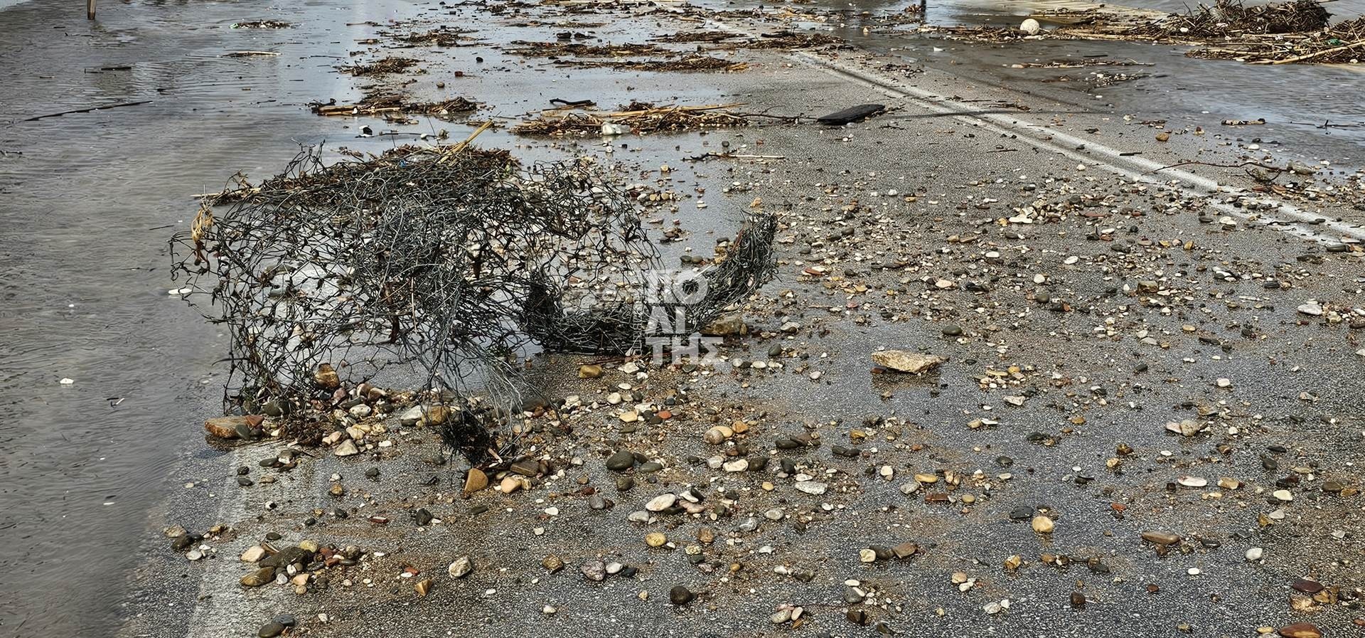 Χίος, κακοκαιρία, Άνεμοι