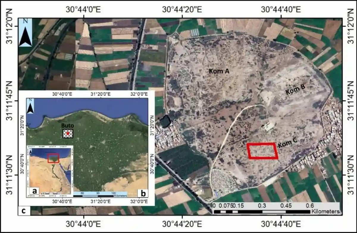 Χάρτης τοποθεσίας του αρχαιολογικού οικισμού της Βουτούς: α) εικόνα της Αιγύπτου από το Google Earth, β) η τοποθεσία της Βουτούς στο βορειοδυτικό Δέλτα του Νείλου, γ) κοντινό πλάνο της τοποθεσίας της Βουτούς που δείχνει τρεις ξεχωριστούς λόφους (Koms) και την περιοχή έρευνας που οριοθετείται από ένα κόκκινο ορθογώνιο εντός του Kom C. Πηγή: M.A.R. Abouarab κ.ά. 2026