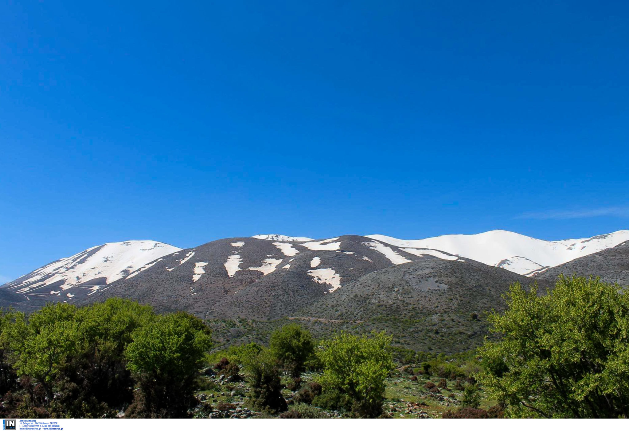 Ψηλορείτης