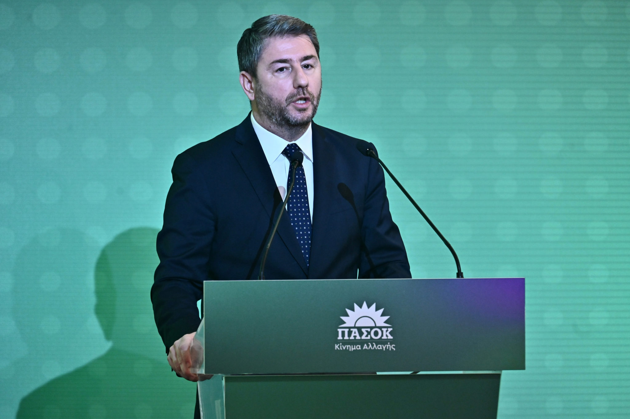 Νίκος Ανδρουλάκης, ΠΑΣΟΚ