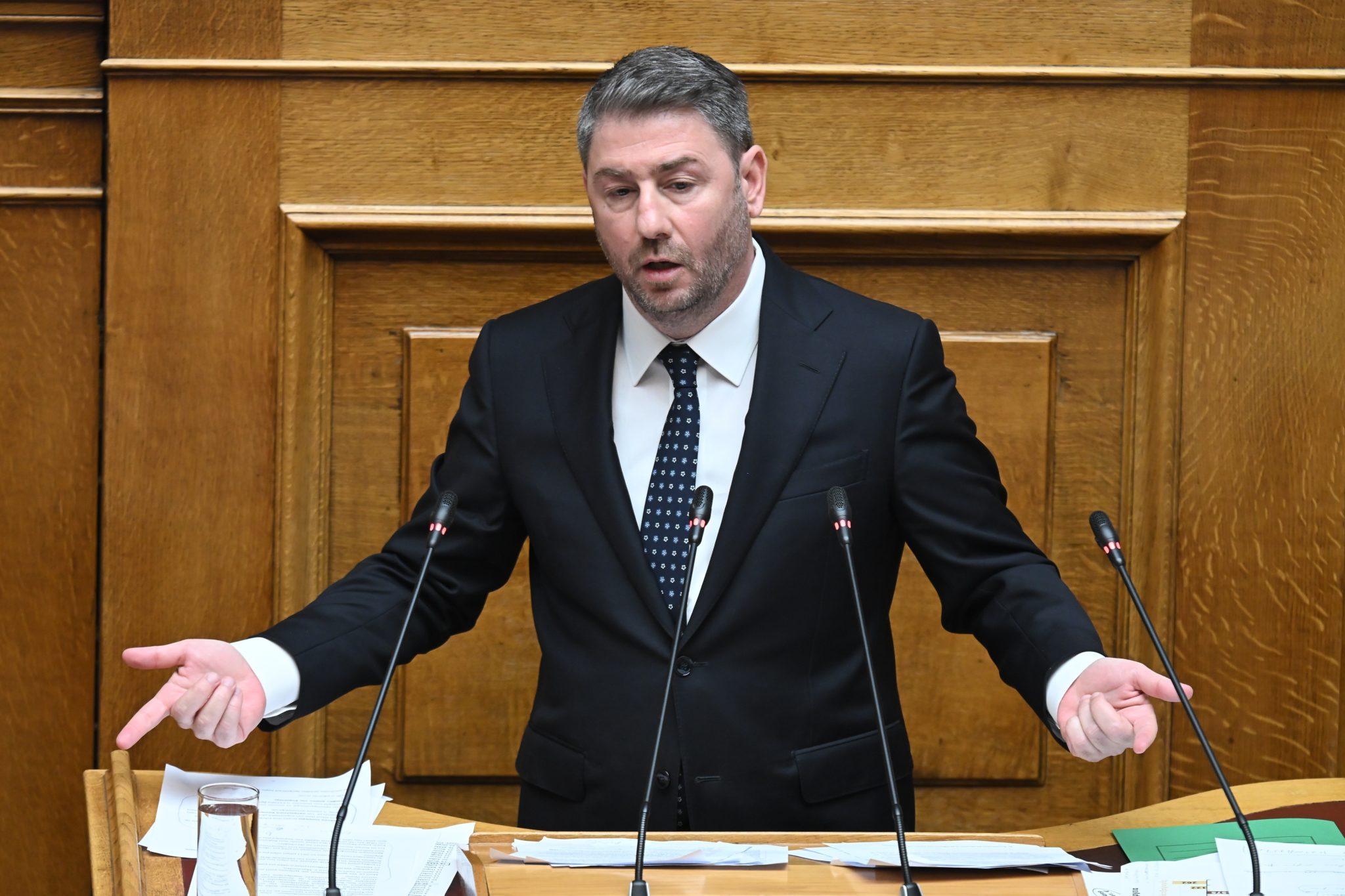 Νίκος Ανδρουλάκης