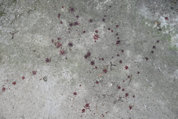 20χρονος, Θεσσαλονίκη, Δολοφονία