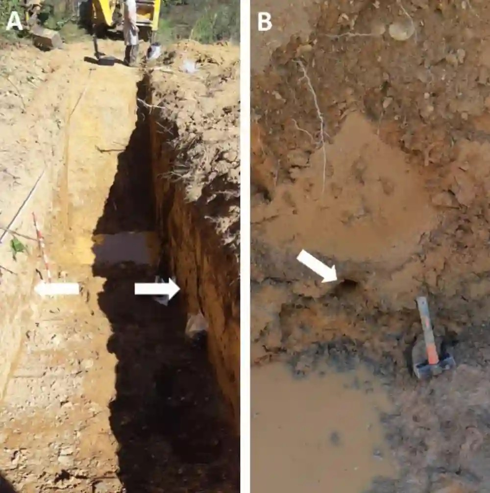 Τάφρος που ανοίχθηκε για δειγματοληψία OSL με την τοποθεσία των στρωμάτων δειγματοληψίας (Α) και την οπή του σωλήνα του δείγματος Cerdanya-1 (Β). Τα βέλη υποδεικνύουν τα σημεία δειγματοληψίας για τη χρονολόγηση με OSL. Πηγή: J. Sanjurjo-Sánchez et al. 2025 