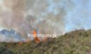 Φωτιά σε δασική έκταση στα Σοφιανά Κορινθίας - ΦΩΤΟ