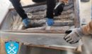 Πειραιάς: «Μπλόκο» του Λιμεναρχείου σε κύκλωμα ναρκωτικών – Κατασχέθηκαν 219 κιλά skunk αξίας άνω των 750.000 ευρώ