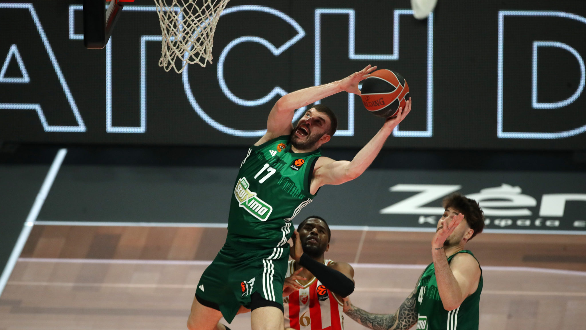 Νίκος Ρογκαβόπουλος, Παναθηναϊκός - Ερυθρός Αστέρας