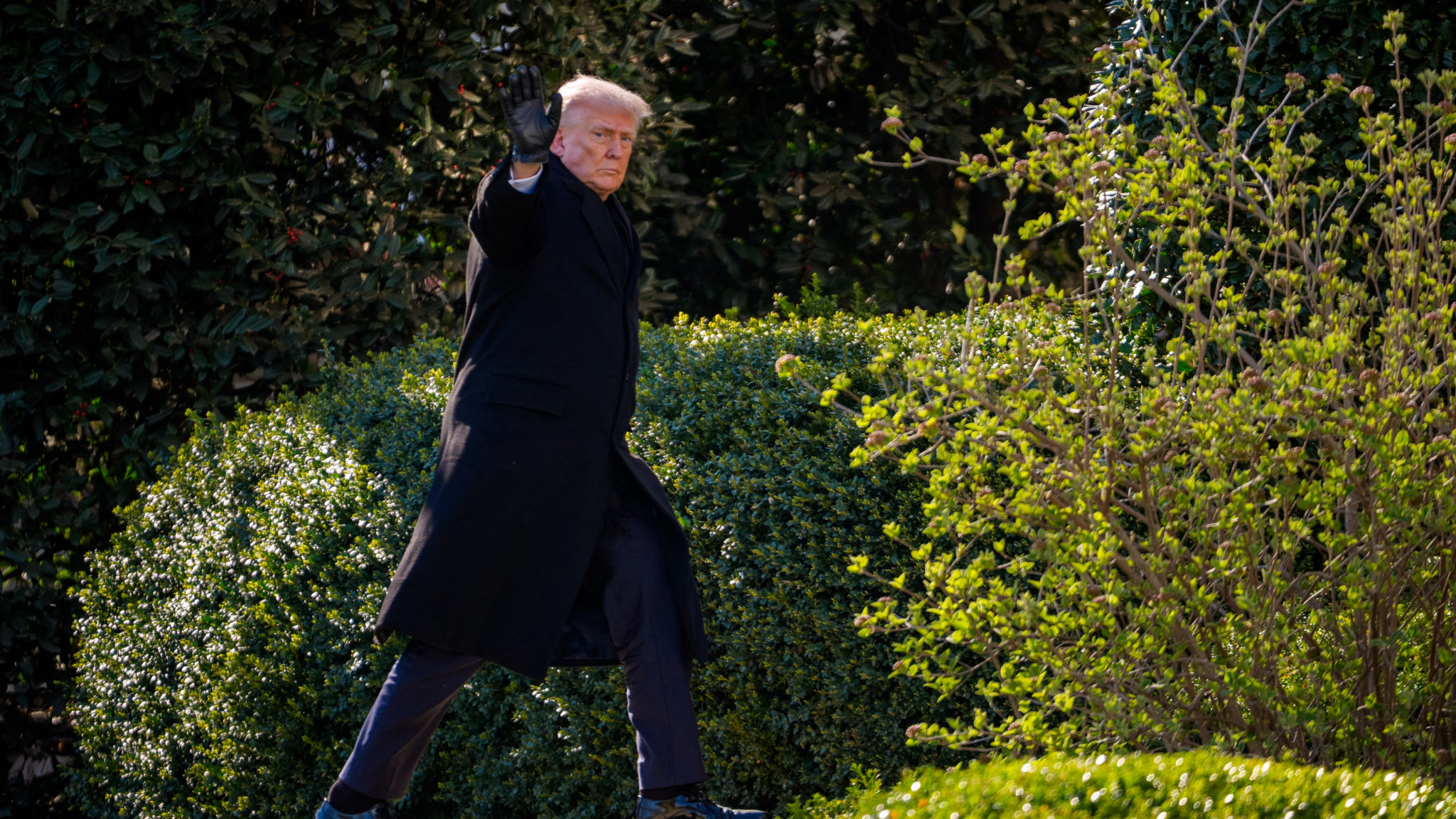 Ντόναλντ Τραμπ