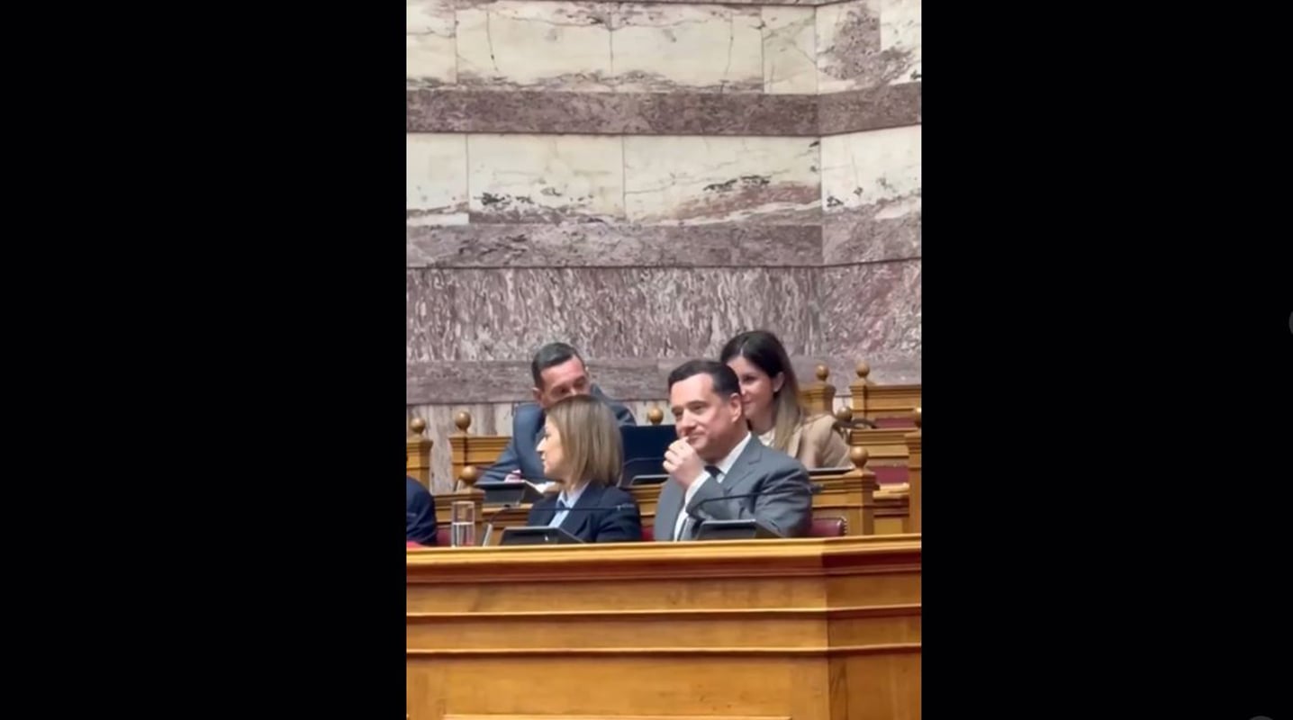 Άδωνις Γεωργιάδης- Βουλή- κρακεράκι