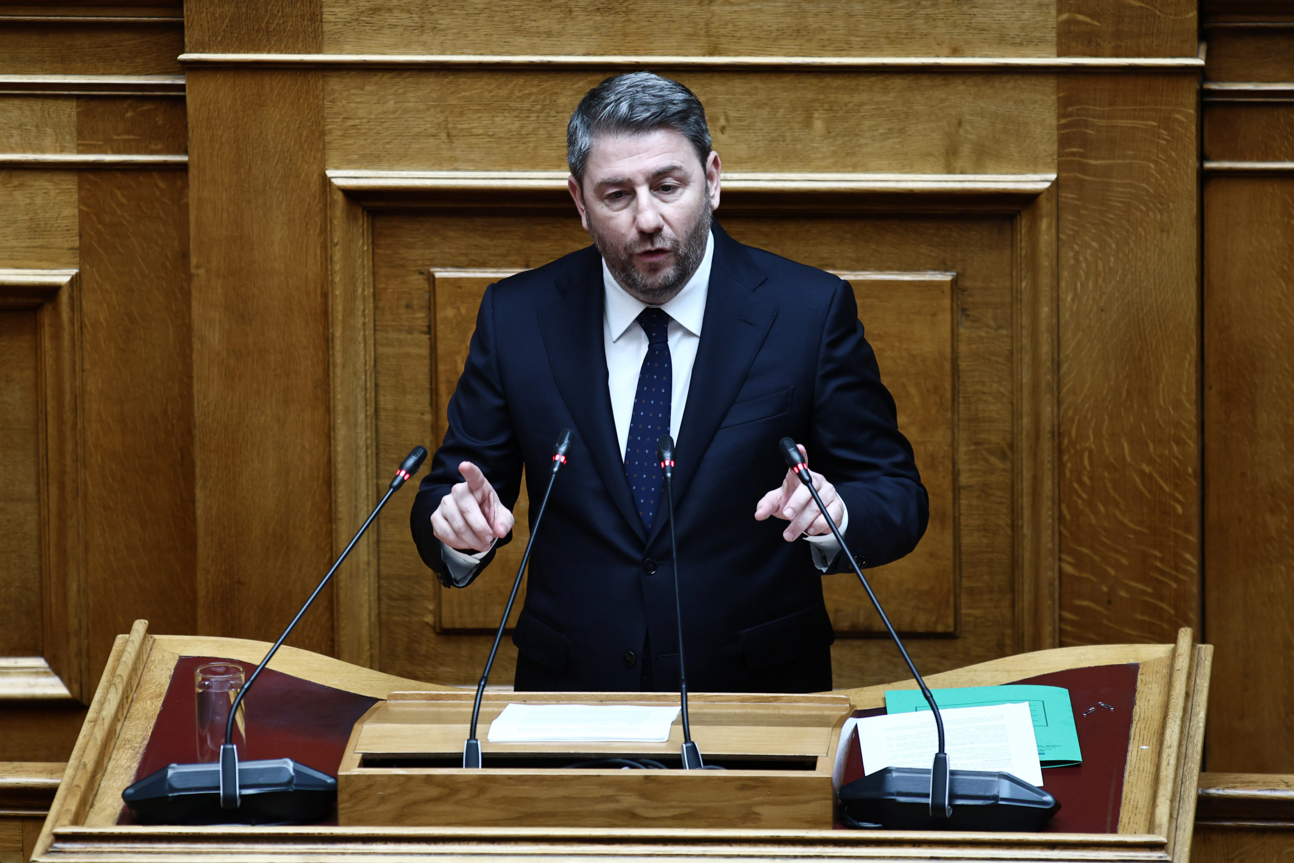 Νίκος Ανδρουλάκης