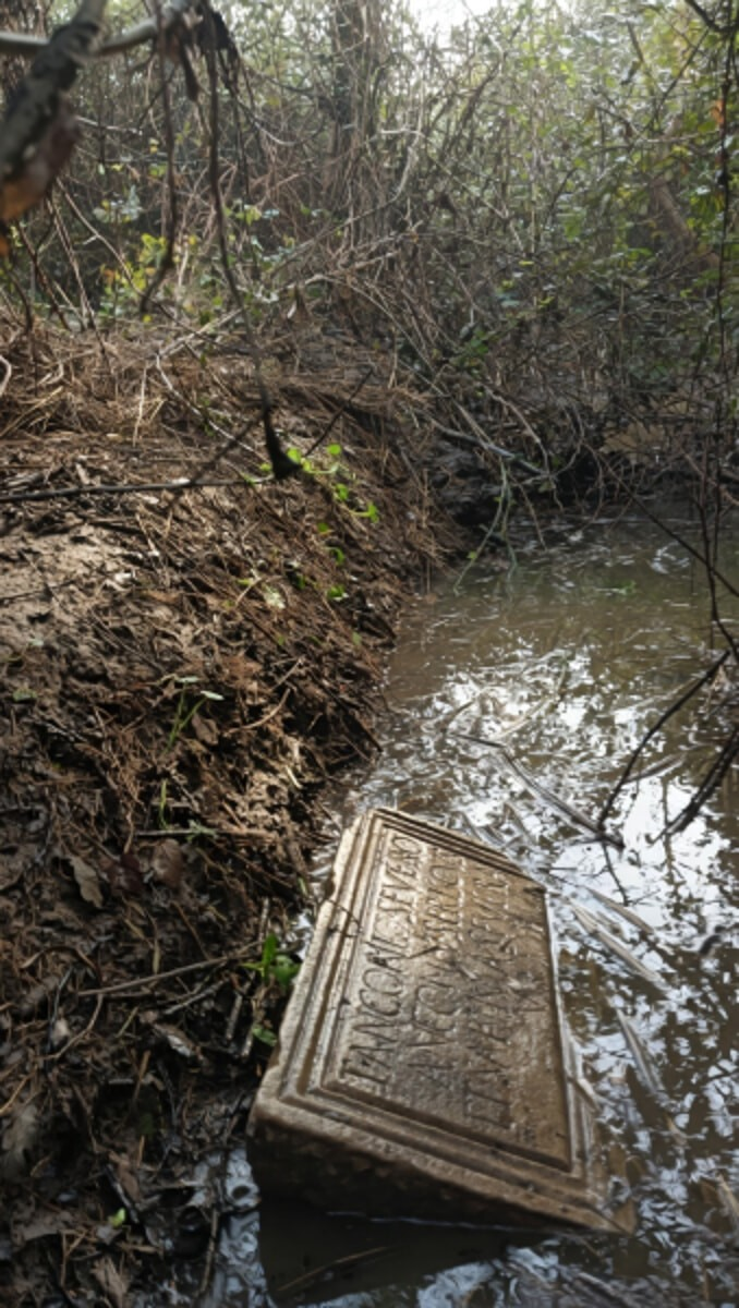 Φωτογραφία: livornotoday