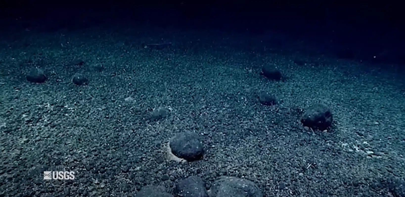 Υποβρύχια πλάνα από οζίδια μαγγανίου στον πυθμένα της θάλασσας, ληφθέντα από τηλεκατευθυνόμενο όχημα (ROV). Πηγή: USGS