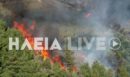 Μεγάλη φωτιά σε δασική έκταση στην Ηλεία - Σηκώθηκε και αεροσκάφος