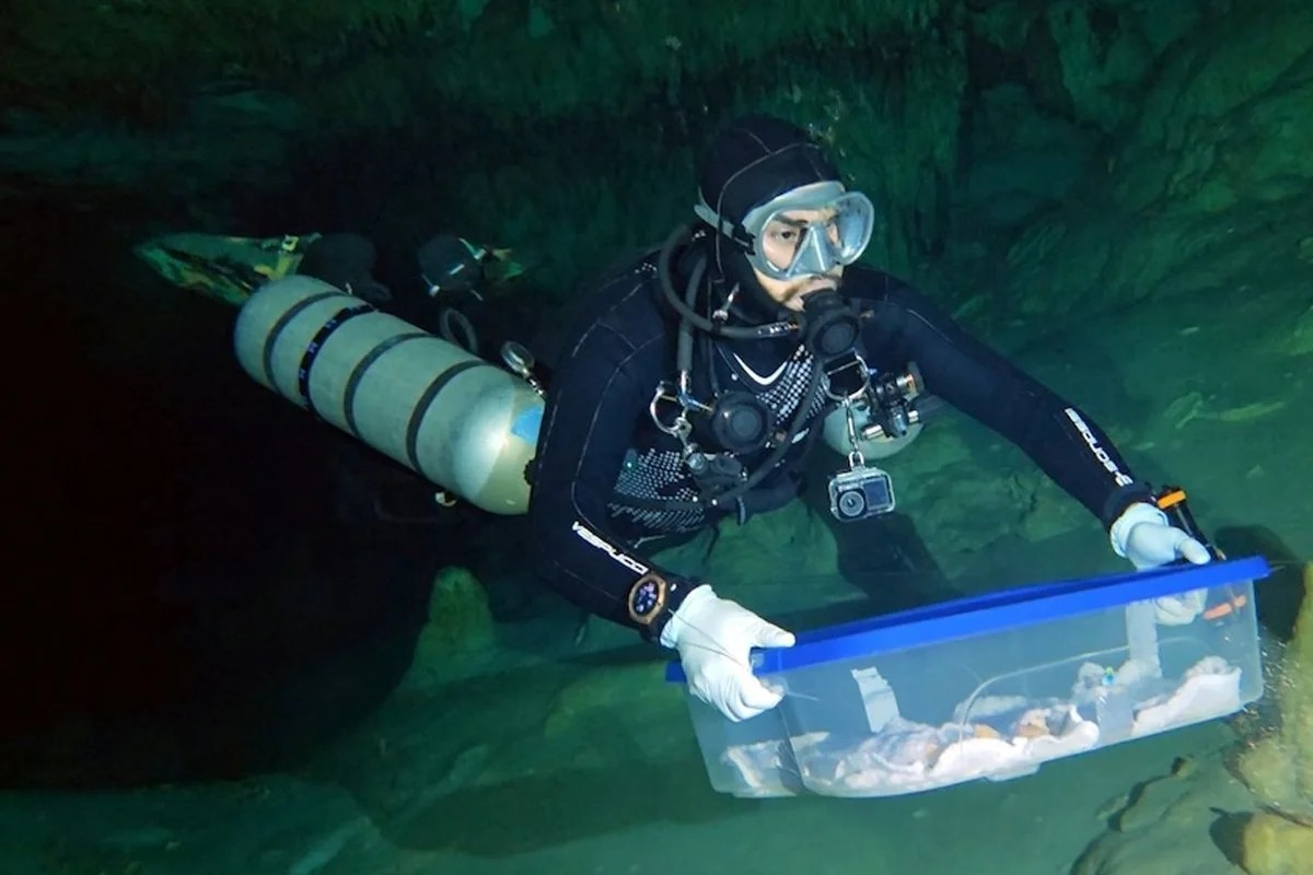 Το INAH ανέκτησε αρχαία ανθρώπινα απολιθώματα από υπόγειο ποταμό. Φωτογραφία: INAH