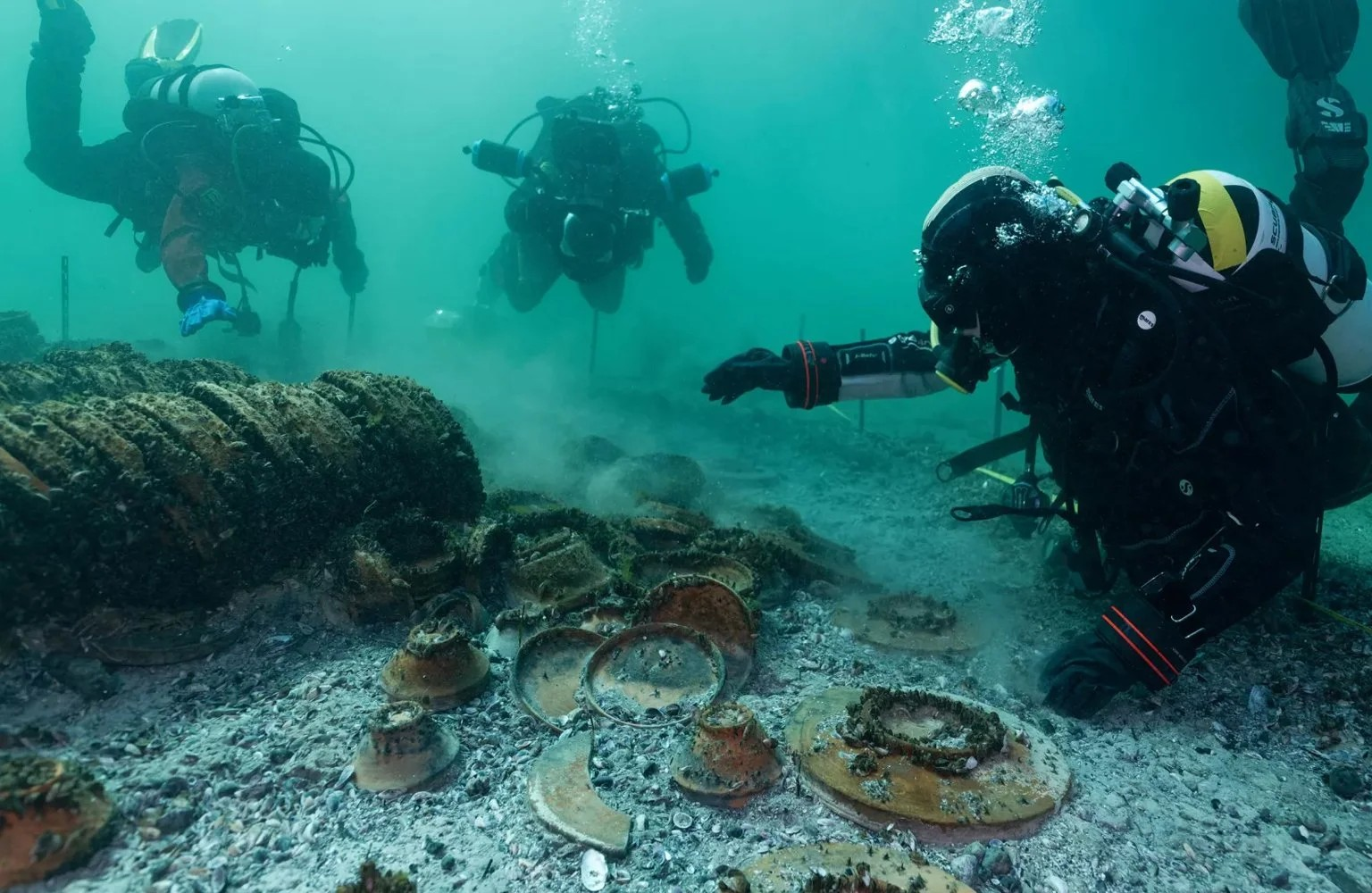 Φωτογραφία: Octopus Foundation