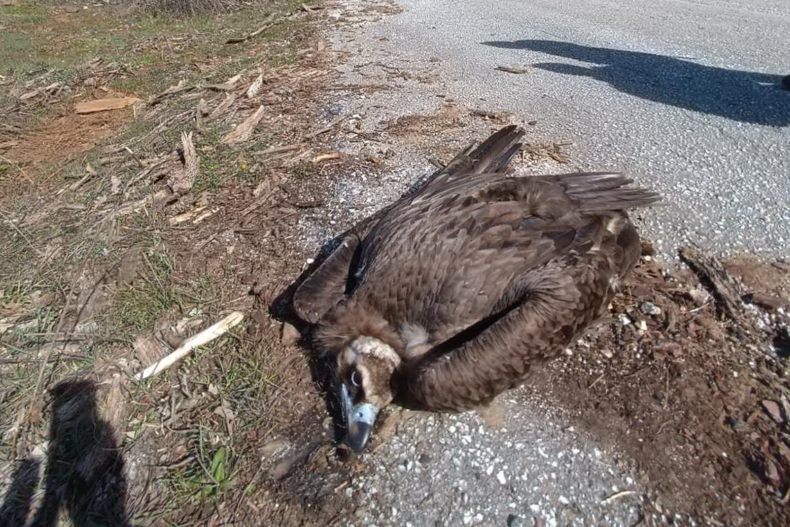 Οργανισμός Φυσικού Περιβάλλοντος και Κλιματικής Αλλαγής-ΟΦΥΠΕΚΑ