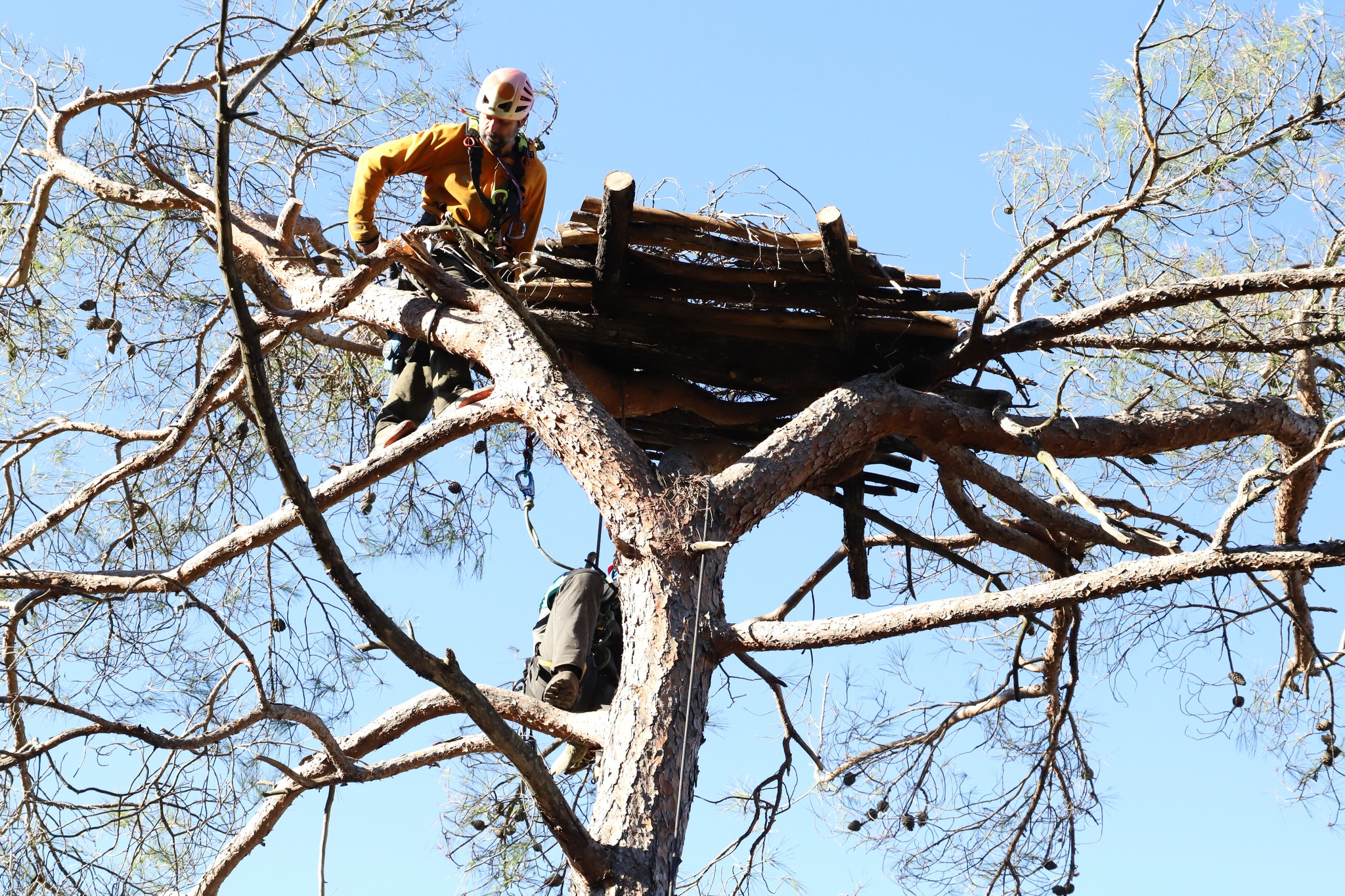 Οργανισμός Φυσικού Περιβάλλοντος και Κλιματικής Αλλαγής-ΟΦΥΠΕΚΑ