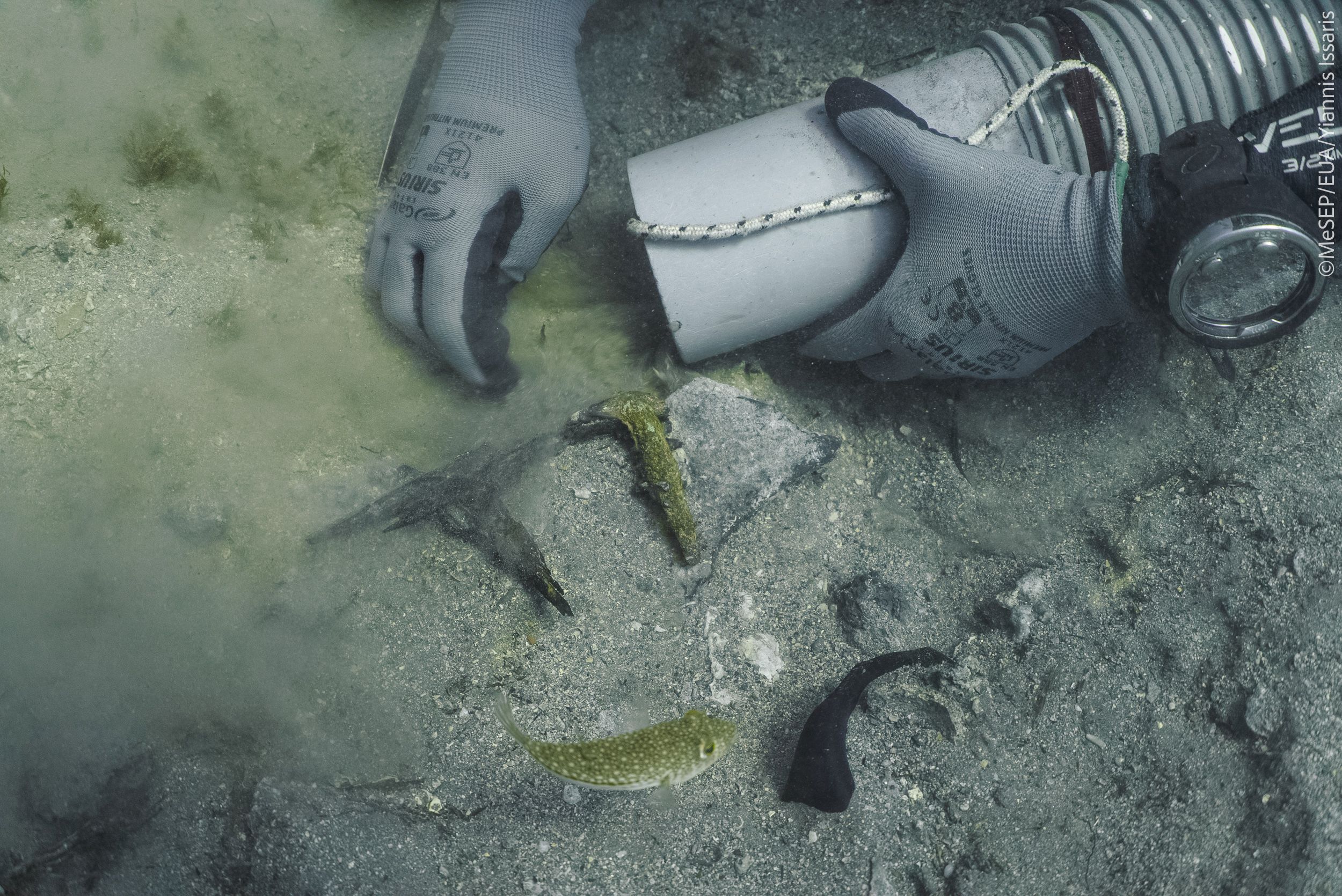 ναυάγιο, πλοίο, «ΜΕΝΤΩΡ», ευρήματα