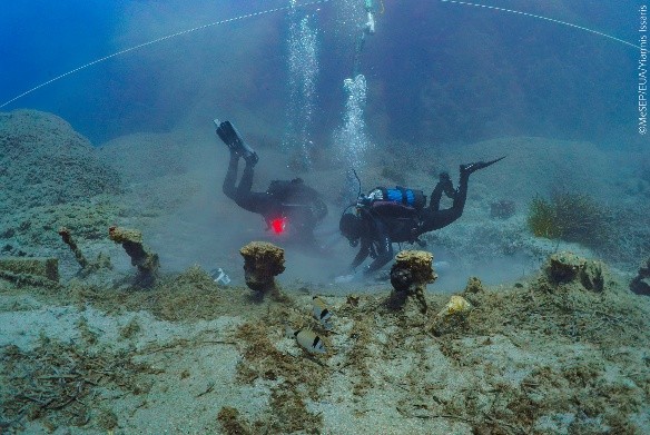 ναυάγιο, πλοίο, «ΜΕΝΤΩΡ», ευρήματα