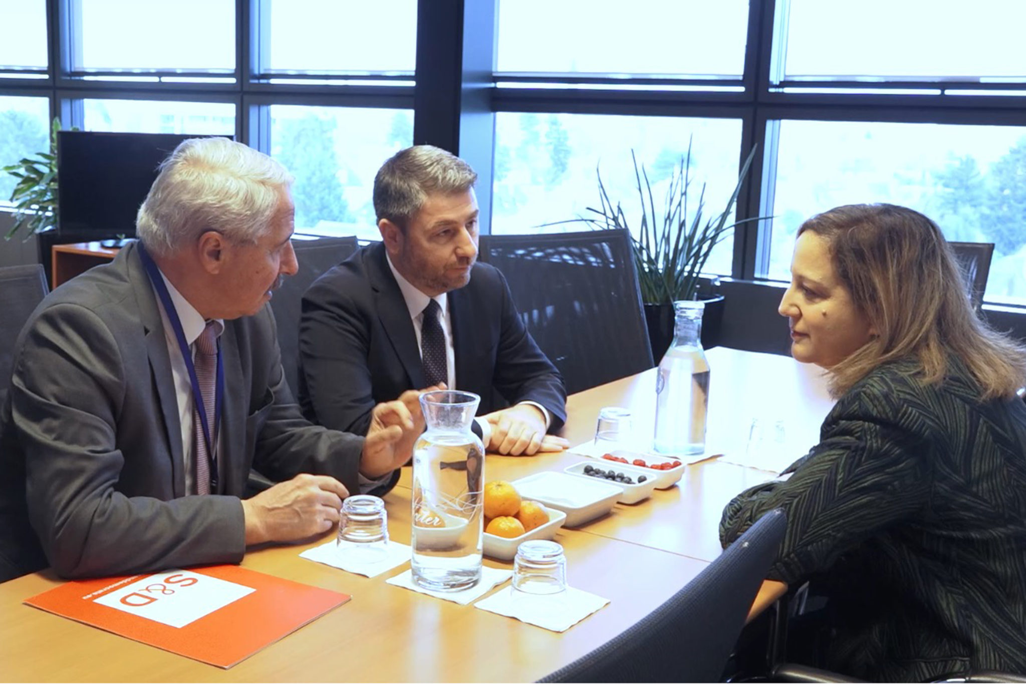 Νίκος Ανδρουλάκης, Στρασβούργο, Ευρωπαϊκό Κοινοβούλιο, Ιράτσε Γκαρσία Πέρεθ