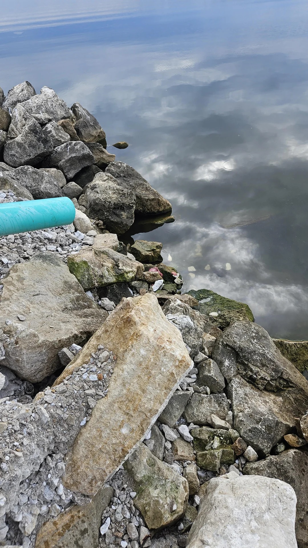 Οπτική ψευδαίσθηση, φίδι