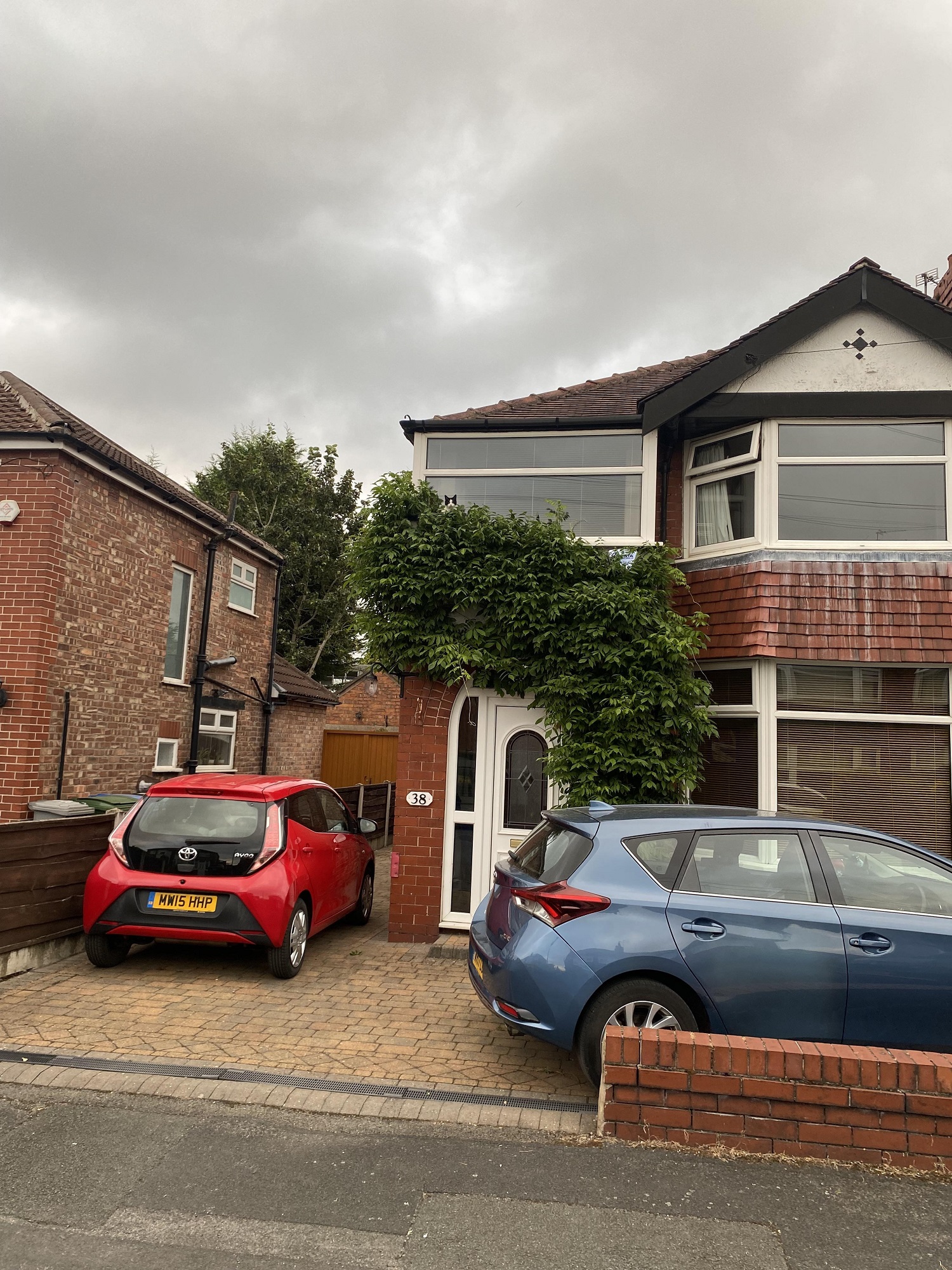 Οπτική ψευδαίσθηση, γάτα