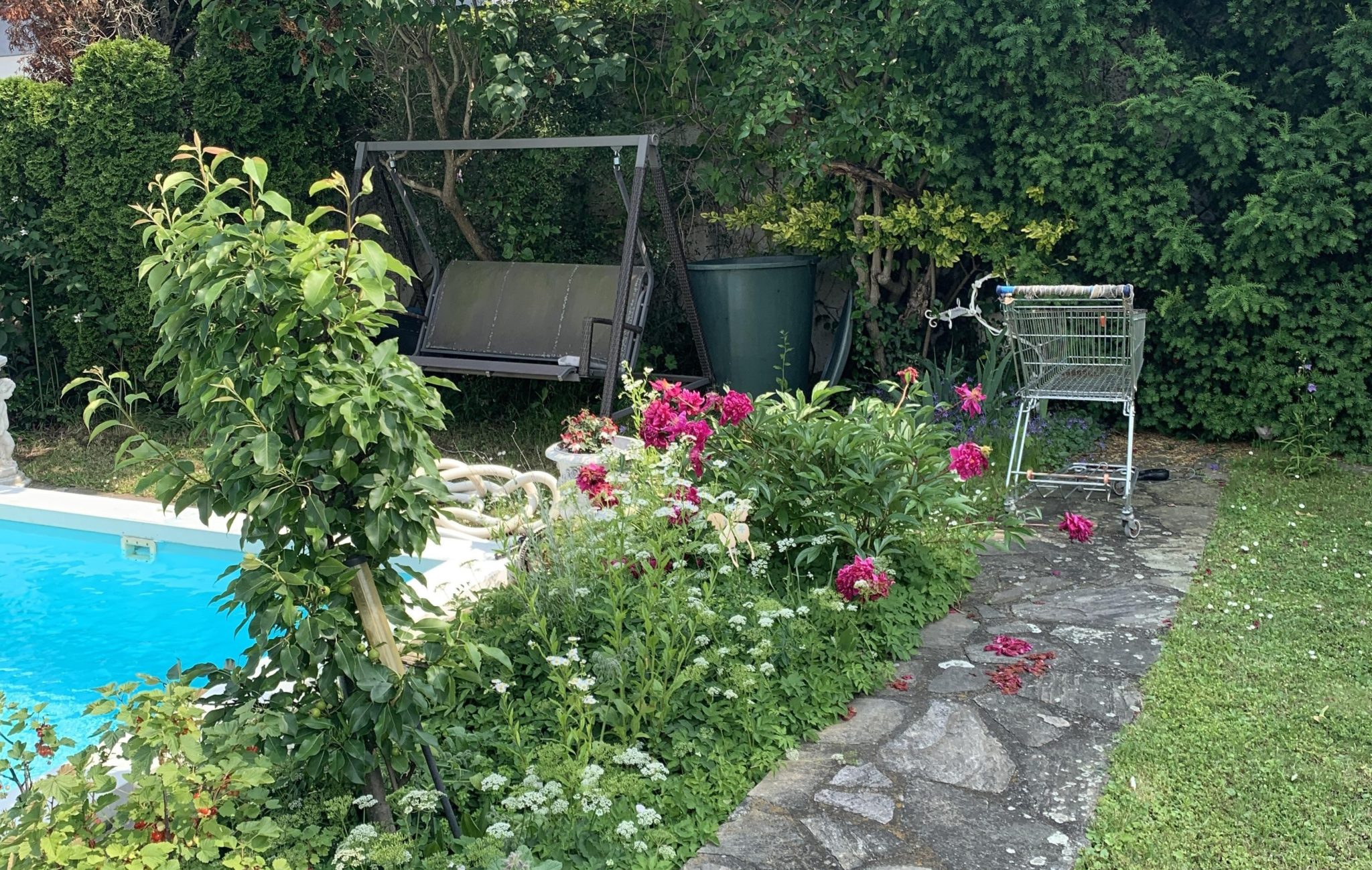 Οπτική ψευδαίσθηση, λευκή γάτα