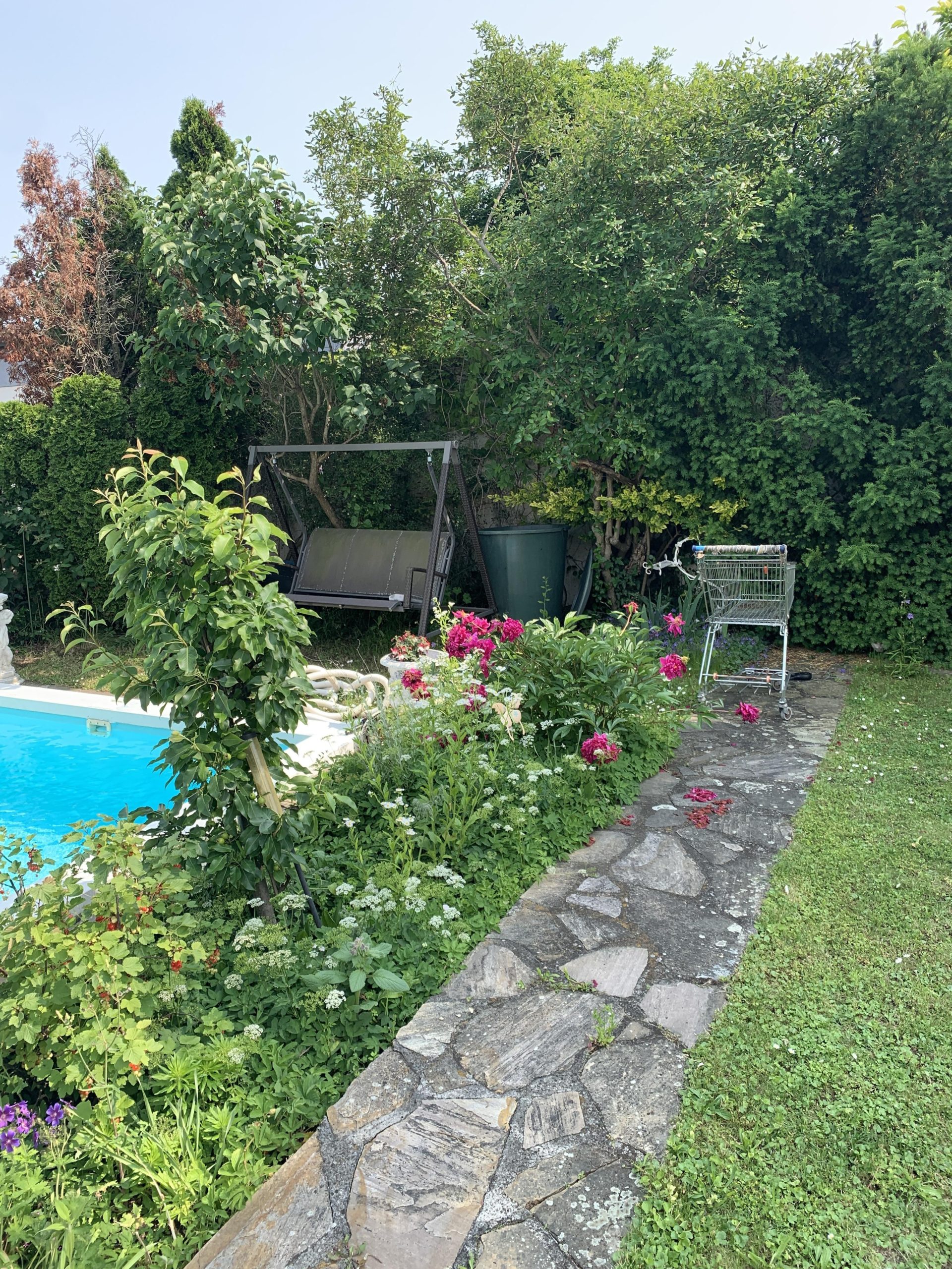 Οπτική ψευδαίσθηση, λευκή γάτα