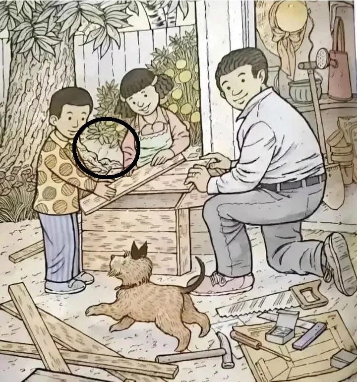 Οπτική ψευδαίσθηση, νυχτερίδα