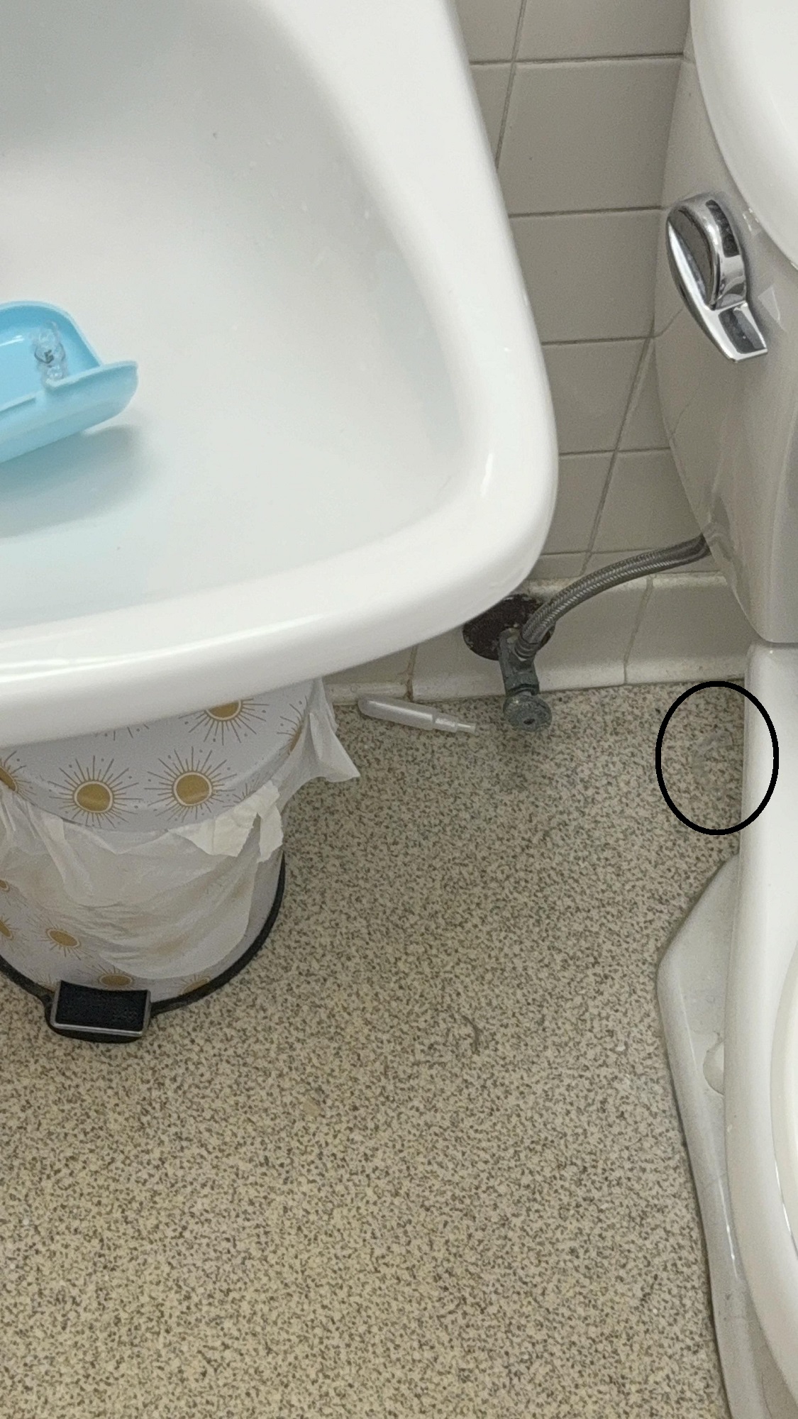 Οπτική ψευδαίσθηση, μασελάκι