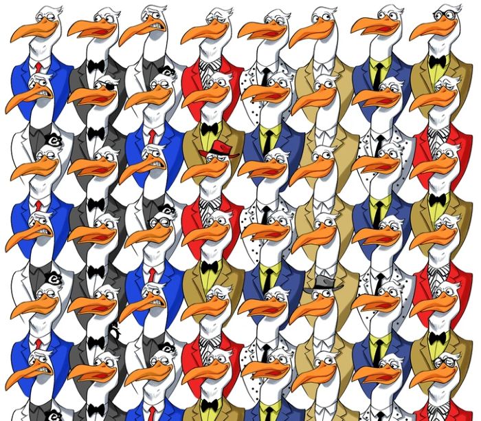 Οπτική ψευδαίσθηση, πιγκουίνος