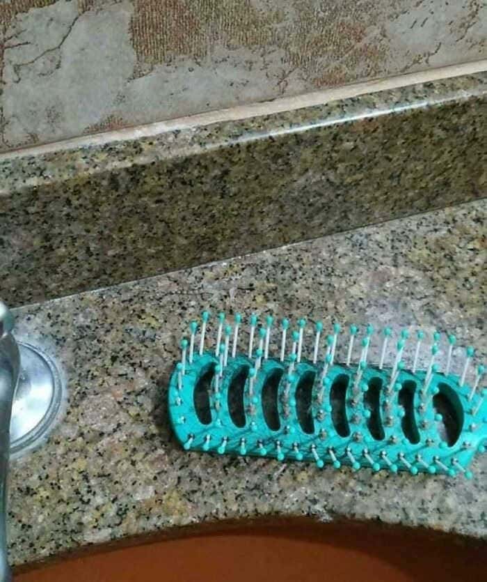 Οπτική ψευδαίσθηση, σαύρα